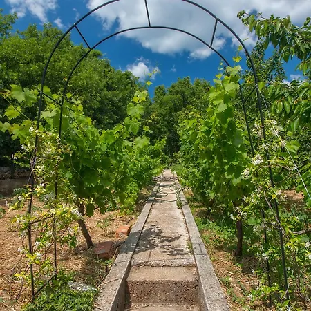 Vilă Organic Gardens *