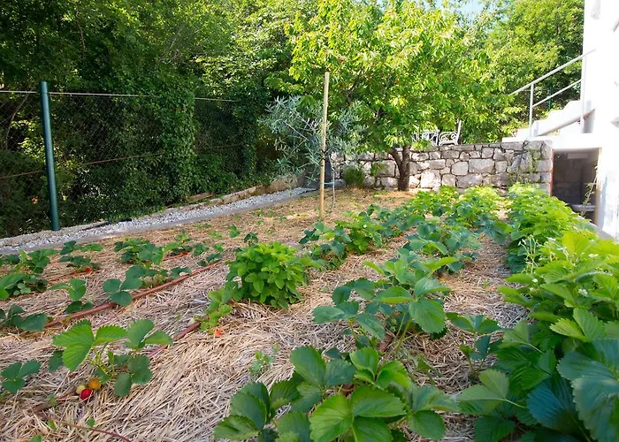 Organic Gardens *