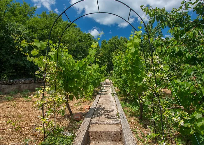 Villa Organic Gardens *