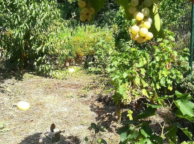 Organic Gardens Crikvenica